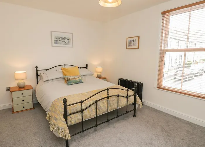 Laridae * וויטבי